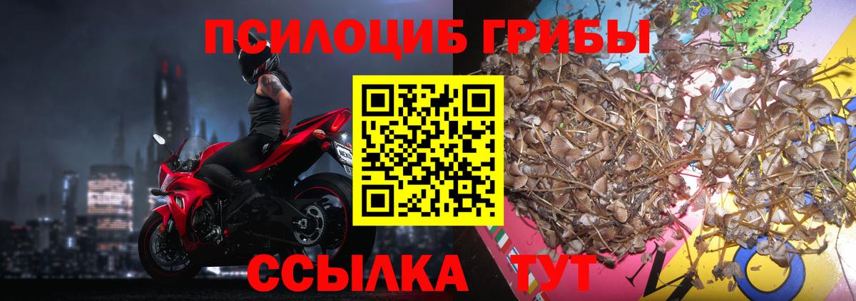 Серпухов  Псилоцибиновые грибы GOLDEN TEACHER  Вход с VPN 